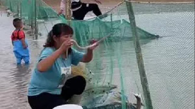 户外赶海抓海鲜