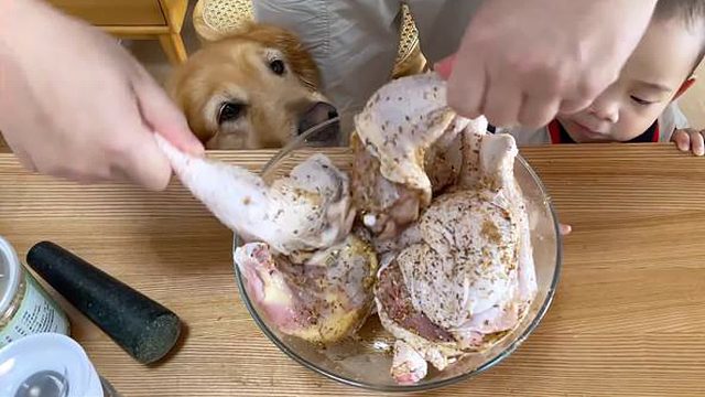 小主人不要生日礼物，只要狗狗？