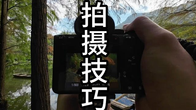 摄影小白秒懂的相机操作技巧！