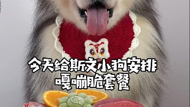 小狗的嘎嘣脆套餐！01