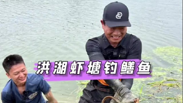 和水猴子一起抓鳝鱼，200块半天能抓多少。