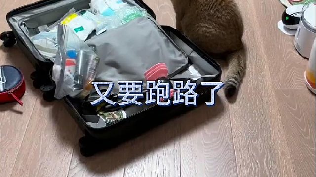 黄咯噔这是知道我们又会好几天不回家了吗