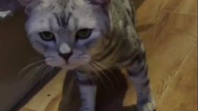 臭不要脸的想借钱该不该借？