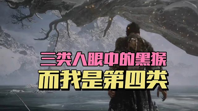 黑神话悟空：三类人眼中的黑猴，而我是第四类！