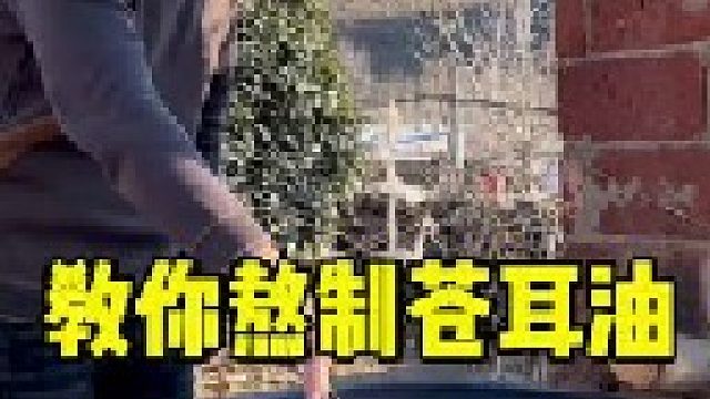 农村常见的苍耳子，大家管它叫什么名字？苍耳子经过七个步骤，熬制成苍耳子油。