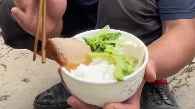 鸡：让你说鹰语