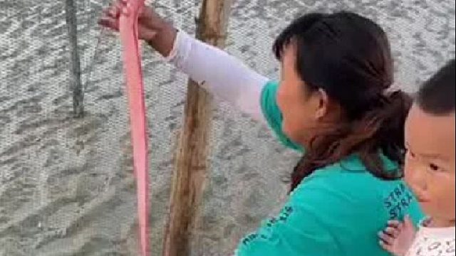 户外赶海抓海鲜