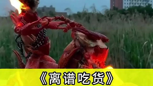 连老外都不敢相信，龙虾壳还能这么利用