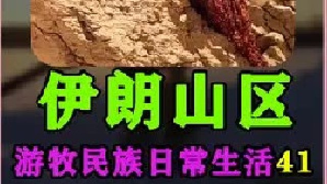 牧民们到河里捕鱼  (2)