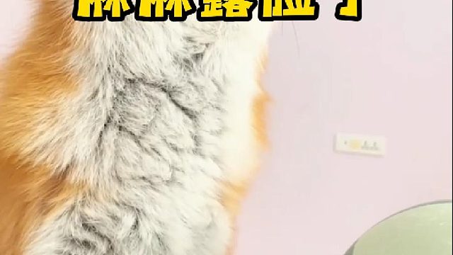 百万粉福利之星期一麻麻露脸视频来啦！