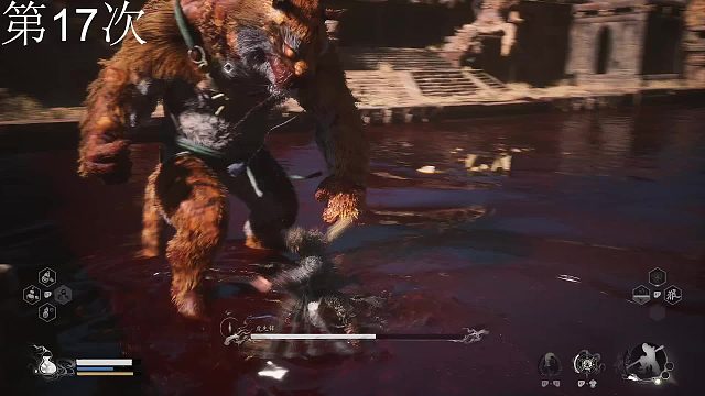 猴头酒喝饱了吗哥