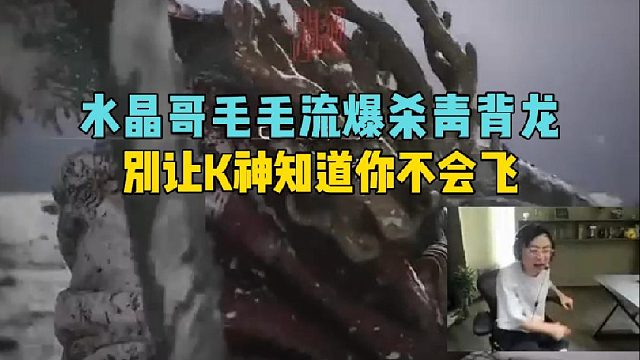 水晶哥毛毛流爆杀青背龙，别让K神知道你不会飞