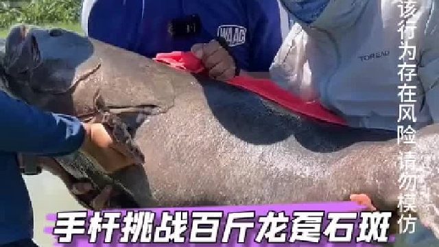 6米3手杆挑战百斤巨型龙趸石斑鱼。