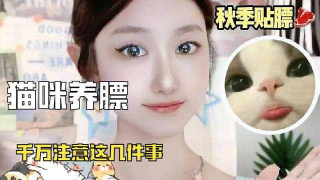 教你几招，猫咪轻松贴秋膘