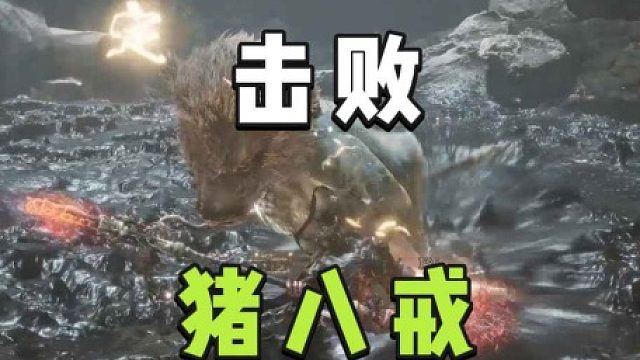 大黄蜂-击败打猪八戒