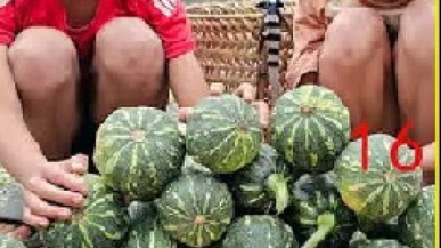 阿豪生活： 两人在大山一起搜寻山货 女友不幸走失