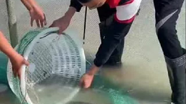 户外赶海抓海鲜