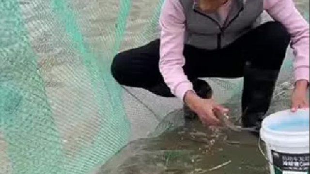 赶海赶海赶海啦
