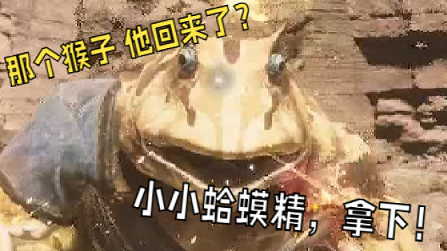 浪里个波？小小蛤蟆精，拿捏！【离恨沉浸·黑神话悟空】