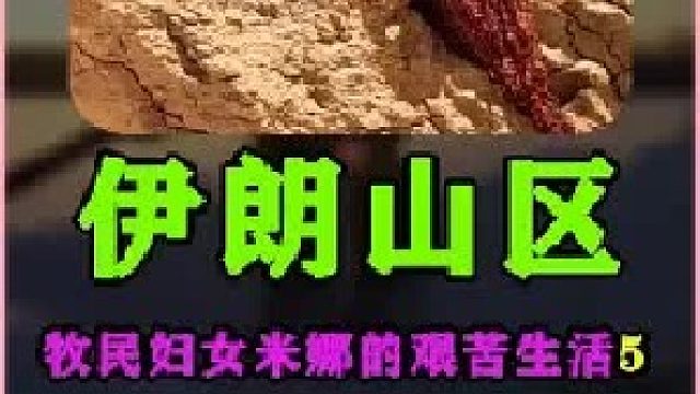 米娜给小河制作了一个简易木板桥 伊朗游牧民族的日常生活  (1)