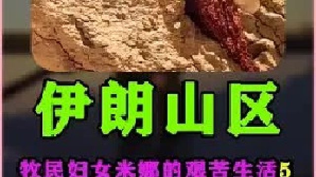 米娜给小河制作了一个简易木板桥 伊朗游牧民族的日常生活  (2)