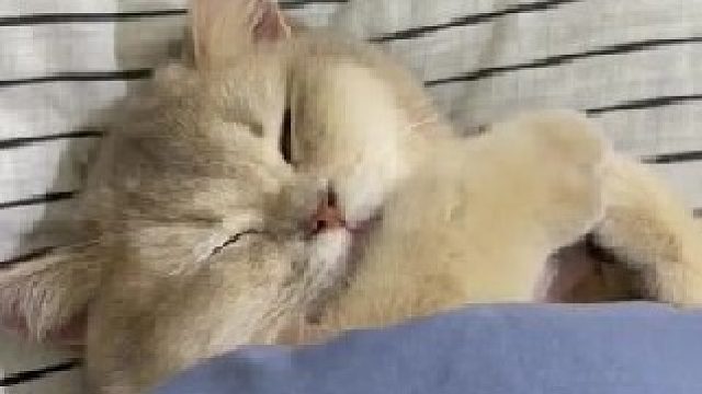 讨厌，人家不想起床了啦