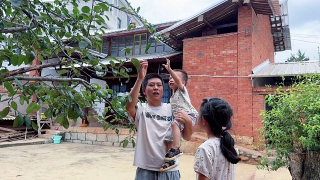 8年前奶奶种下一棵树，如今树上结出果子，奶奶却再也吃不到了