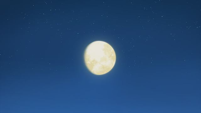 来都来了，请你听~~~~~