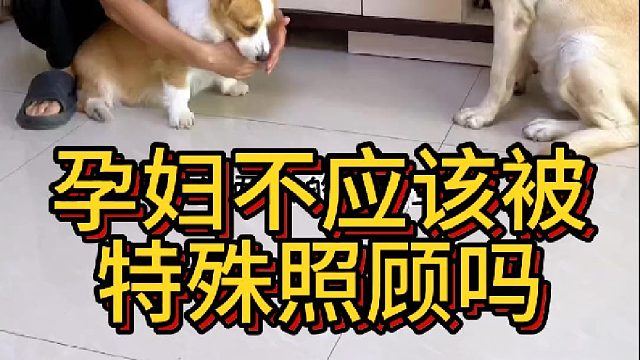 就问大家一句，孕妇不应该被特殊照顾吗