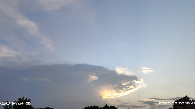 关注ZKL生日 吃个小鸡