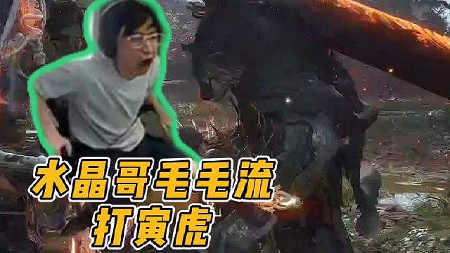 水晶哥毛毛流打寅虎，别让K神知道你不会飞