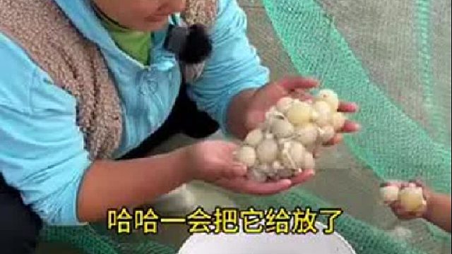 赶海赶海赶海啦