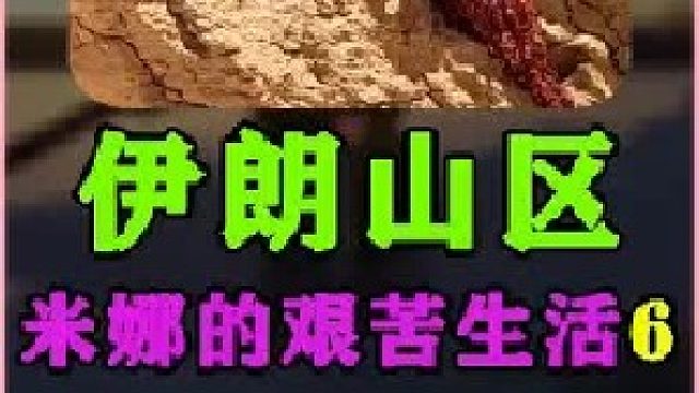 米娜和司机把昨天预定的砖头卸在了河边伊朗游牧民族的日常生活 (1)