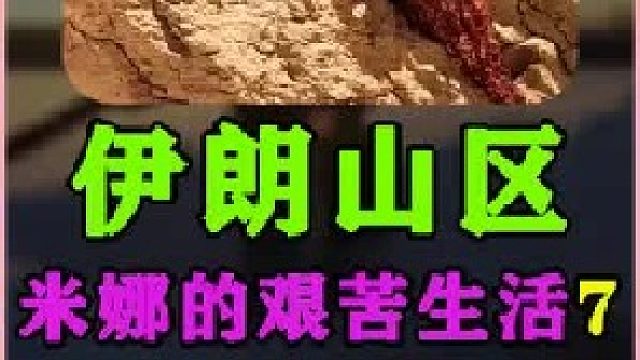 米娜带着三个孩子和司机一起转运砖块 伊朗游牧民族的日常生活