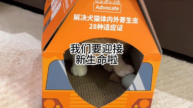 我们要迎接新生命啦