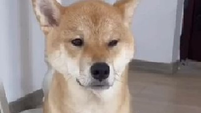 时时刻刻要黏在一起呀