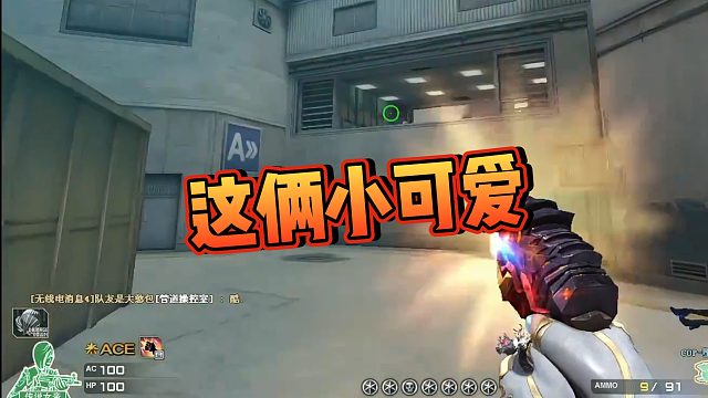【阿飞】这俩小可爱