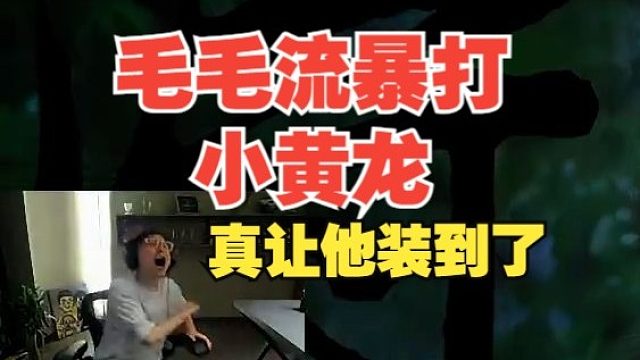 水晶哥毛毛流通关小黄龙！黑子现在没话说了吧？