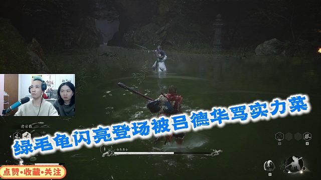 绿毛龟闪亮登场既然被吕德华骂实力菜