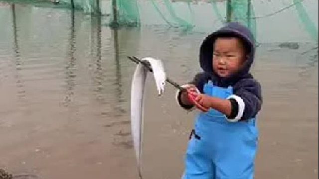 户外赶海抓海鲜