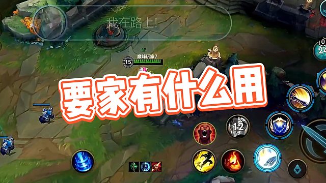 【小Z大魔王】要家有什么用
