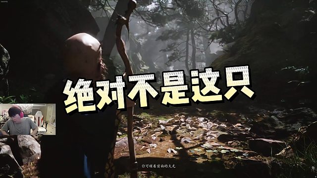 【姿态】绝对不是这只