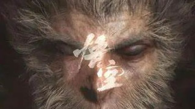 小青龙全是操作