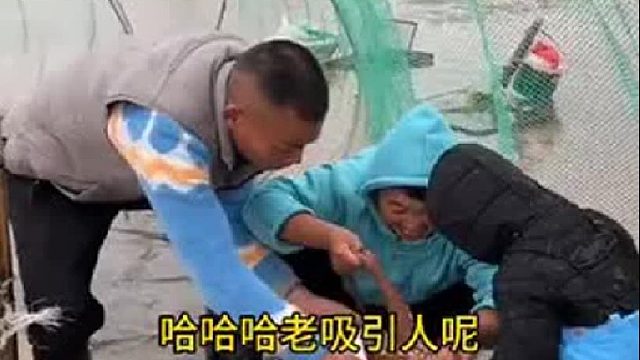 户外赶海抓海鲜