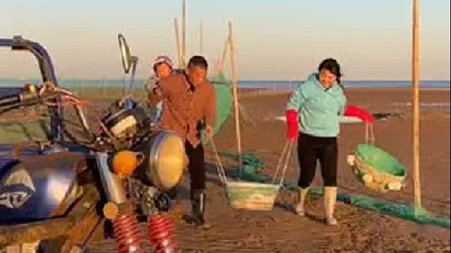 赶海赶海赶海啦