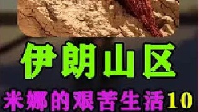 米娜为新家铺设水管  (3)