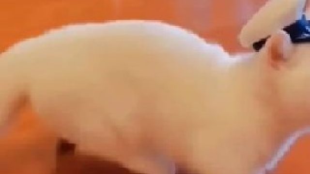 分享给你有趣的朋友