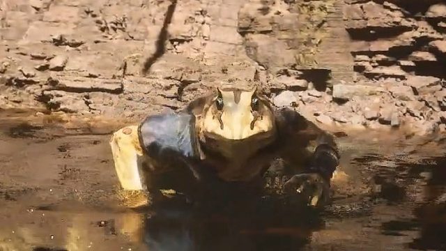 【黑神话悟空】第二回 浪里个波