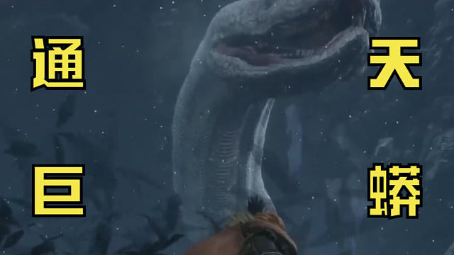 【蓝大脑袋】第二期 || 好一个通天巨蟒，吓我一哆嗦