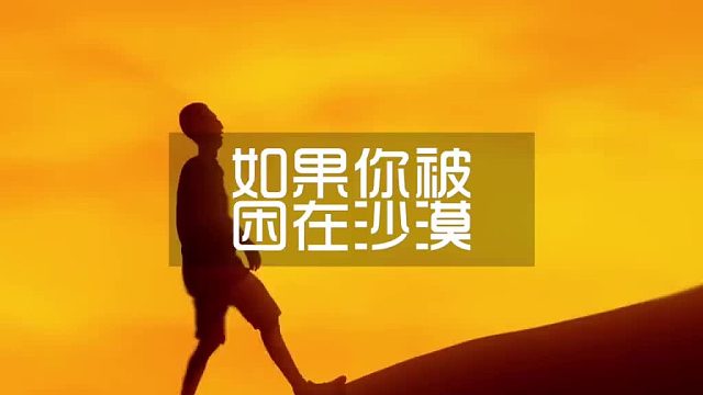 如果你在沙漠中迷路，应该怎么做，才能获救？